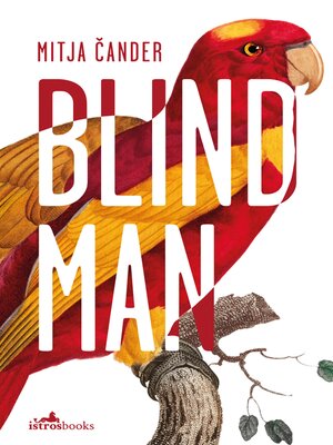 cover image of Blind Man